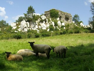 Villa Le Temple-sur-Lot Environnement 29