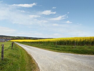 Vakantiehuis Gouvets Omgeving 37