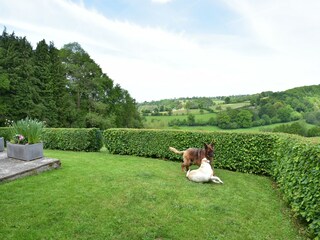 Holiday house Sourdeval-les-Bois Outdoor Recording 11