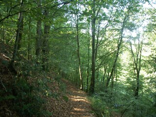 Casa per le vacanze Sourdeval-les-Bois Ambiente 33