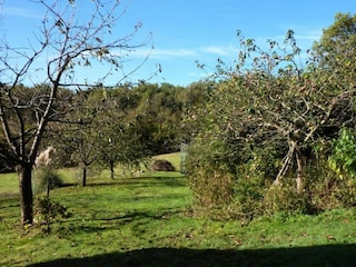 Casa de vacaciones Sourdeval-les-Bois Entorno 38