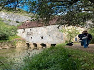 Vakantiehuis Sourdeval-les-Bois Omgeving 36