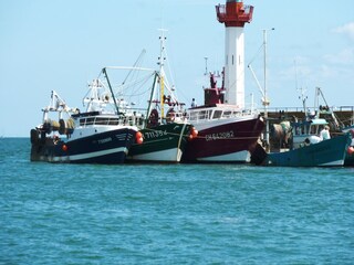 Ferienhaus Ravenoville Umgebung 25