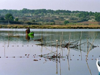 Maison de vacances Ravenoville Environnement 37