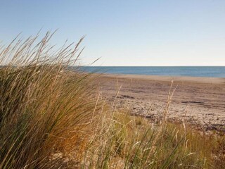 Vakantiehuis Ravenoville Omgeving 38