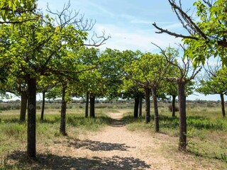 Vakantiehuis Ravenoville Omgeving 32