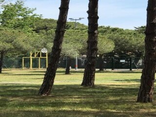 Holiday house Ravenoville Environment 21