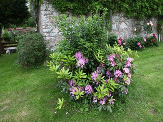 Casa per le vacanze Camprond Registrazione all'aperto 15