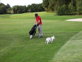 Holiday house Camprond Environment 36