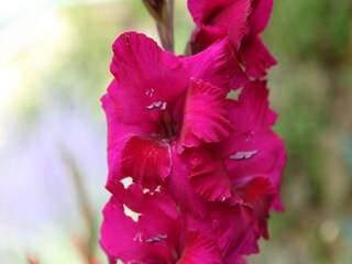 Casa de vacaciones Camprond  38