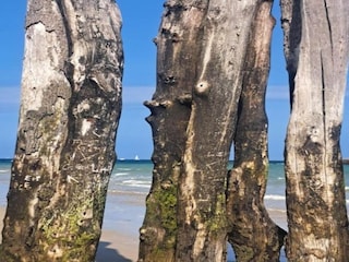 Holiday house La Chapelle-Urée Environment 35