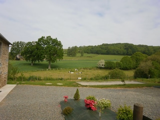 Cottage La Chapelle-Urée Außenaufnahme 3