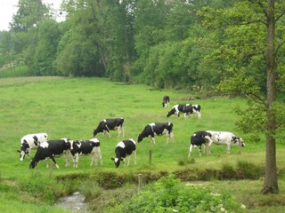 Casa de vacaciones La Chapelle-Urée Entorno 30