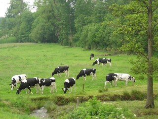Vakantiehuisje La Chapelle-Urée Omgeving 34