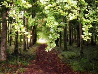 Casa de vacaciones La Chapelle-Urée Entorno 34