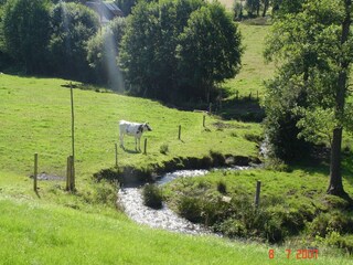 Cottage La Chapelle-Urée Außenaufnahme 5