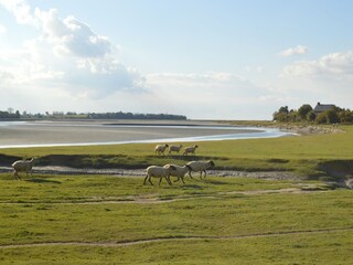 Vakantiehuisje La Chapelle-Urée Omgeving 27