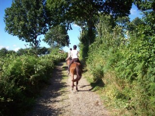 Vakantiehuisje La Chapelle-Urée Omgeving 34