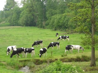 Vakantiehuisje La Chapelle-Urée Omgeving 23