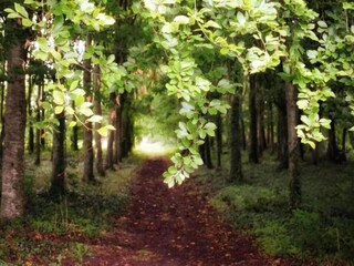 Cottage La Chapelle-Urée Umgebung 27
