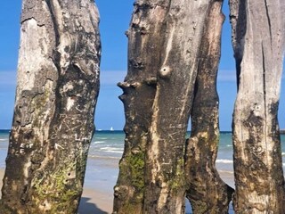 Maison de vacances La Chapelle-Urée Environnement 30