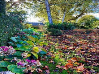 Casa de vacaciones La Chapelle-Urée Entorno 31