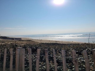 Ferienhaus Denneville Umgebung 16