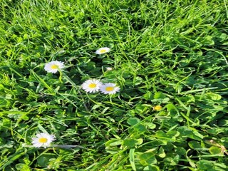 Casa per le vacanze Denneville Ambiente 30