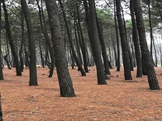 Casa per le vacanze Denneville Ambiente 36