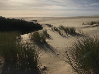 Maison de vacances Denneville Environnement 29