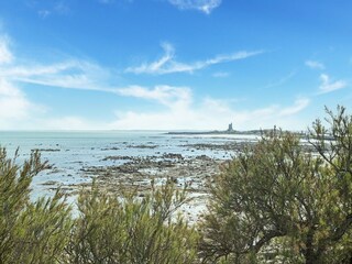 Maison de vacances Montaigu-la-Brisette Environnement 34