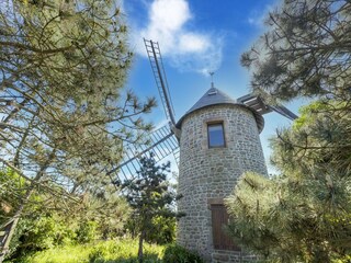 Vakantiehuis Montaigu-la-Brisette Omgeving 34