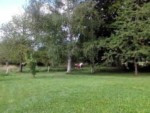 Gemütliches Ferienhaus in Droyes mit Terrasse