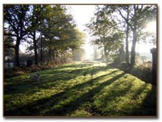 Maison de vacances Mûrs-Erigné Environnement 34