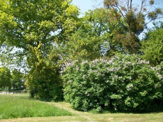 Casa de vacaciones Mûrs-Erigné Entorno 37