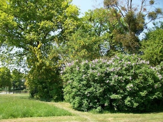 Ferienhaus Mûrs-Erigné Umgebung 35