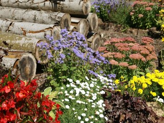 Maison de vacances Nettancourt Environnement 29