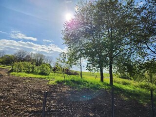 Vakantiehuis Nettancourt Omgeving 26