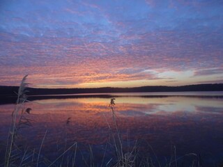 Vakantiehuis Nettancourt Omgeving 29