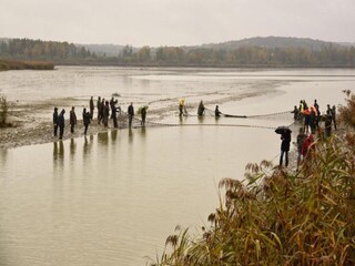 Ferienhaus Nettancourt Umgebung 30