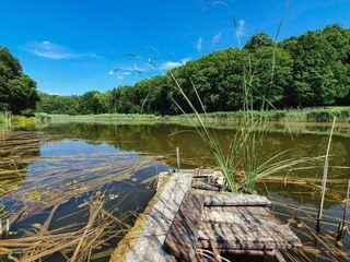 Vakantiehuis Nettancourt Omgeving 30