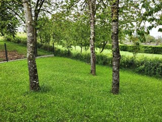 Vakantiehuis Nettancourt Omgeving 33