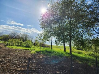 Vakantiehuis Nettancourt Omgeving 34