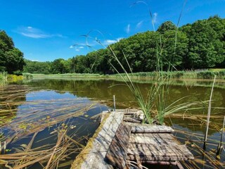 Vakantiehuis Nettancourt Omgeving 29