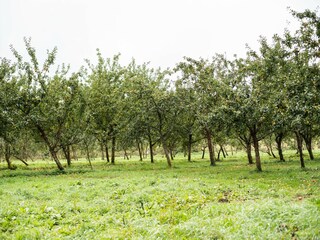 Casa de vacaciones Lignol Entorno 28