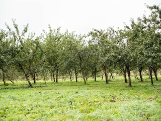 Ferienhaus Lignol Umgebung 28