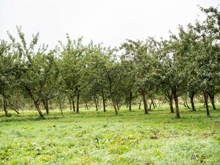 Vakantiehuis Lignol Omgeving 23