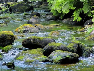 Casa per le vacanze Lignol Ambiente 23