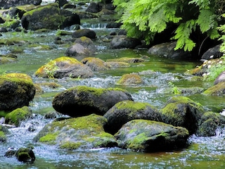 Ferienhaus Lignol Umgebung 35