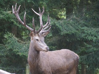 Ferienhaus Trulben Umgebung 35